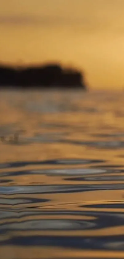 Golden sunset reflecting on calm water surface, creating a serene scene.