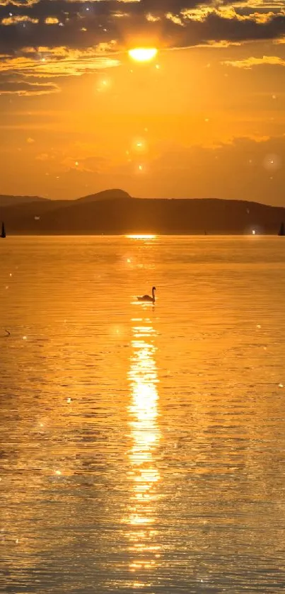 Golden sunset reflecting over tranquil water with a distant horizon.