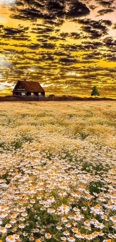 Golden sunset over a field of wildflowers with a cabin and vivid sky.