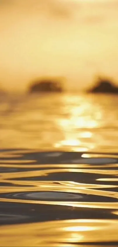 Golden sunset reflecting on water surface, creating a serene and calming image.