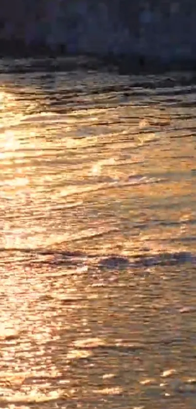 Golden sunrise over water, reflecting light on the surface.