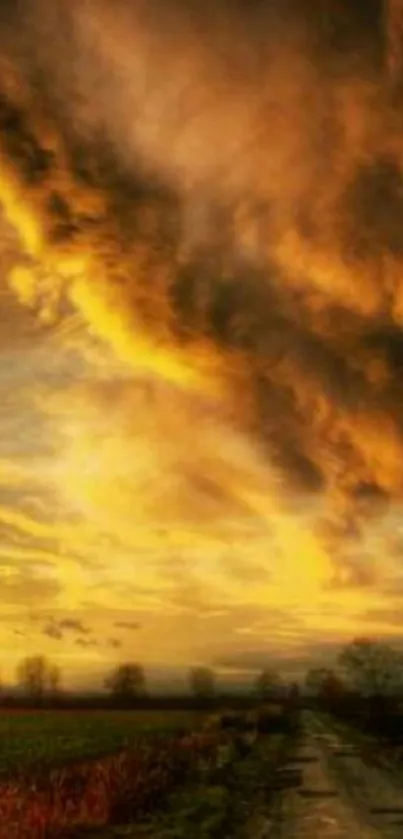 Golden sunset over a rural road with dramatic clouds.