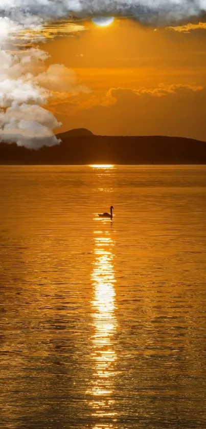 Golden sunset with a swan on reflective water.