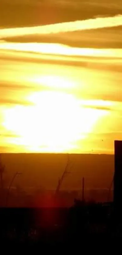 Golden sunset with silhouetted structures against a warm sky.