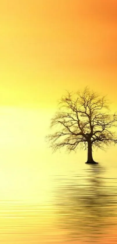 A lone tree reflecting in golden sunset waters, creating a serene mobile wallpaper.