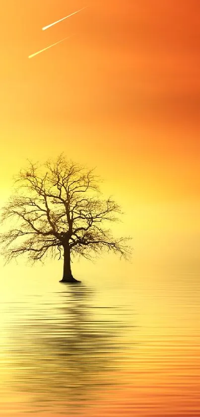 Golden sunset with solitary tree reflecting on water.