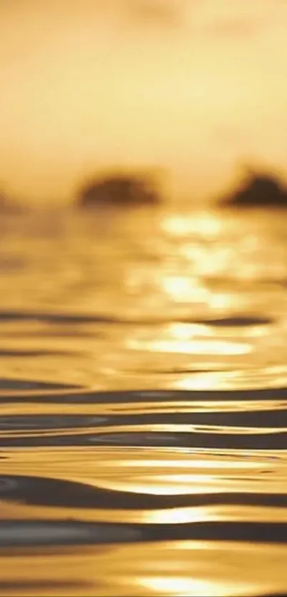 Golden sunset reflecting on calm water with a serene sky.