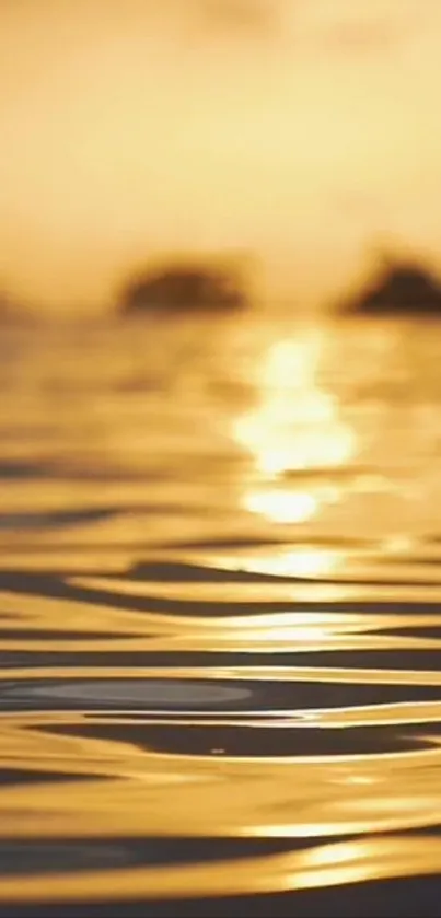 Golden sunset reflecting on calm ocean waves with a peaceful ambiance.