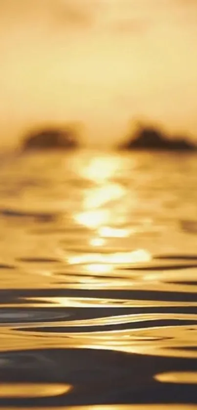 Golden sunset reflecting on rippling water.