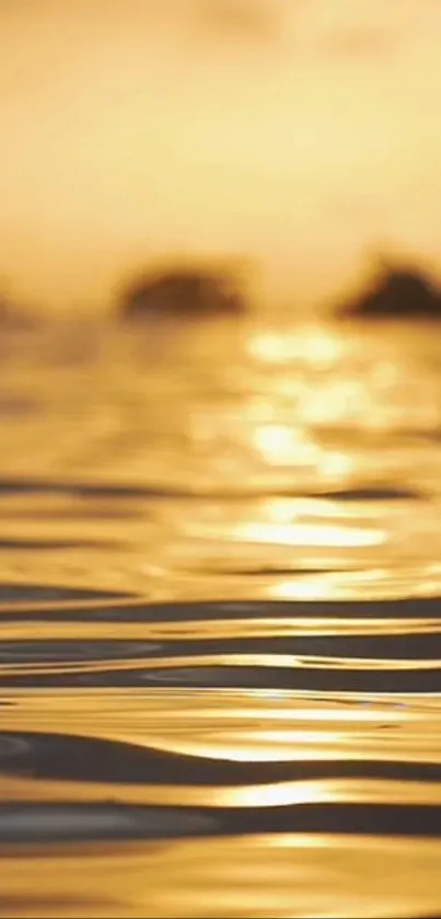 Golden sunset reflecting on calm water with a warm glow.