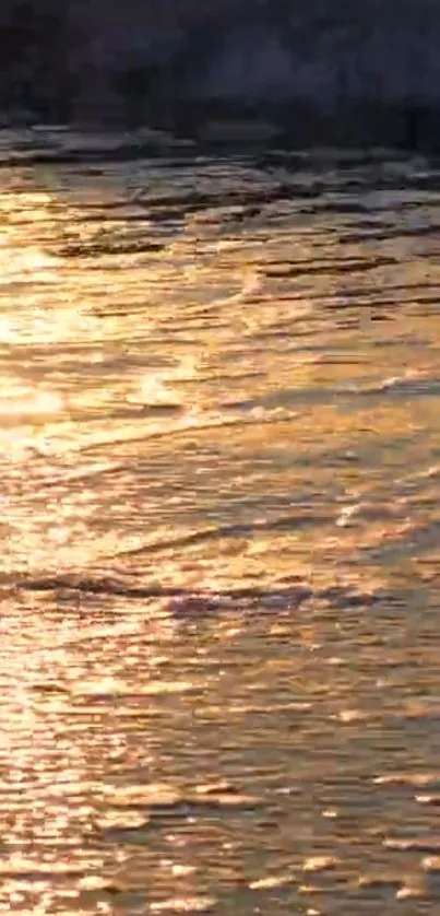 Golden sunset reflecting on tranquil water surface.