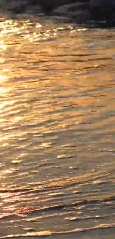 Golden sunset reflecting on water surface, creating serene visuals.