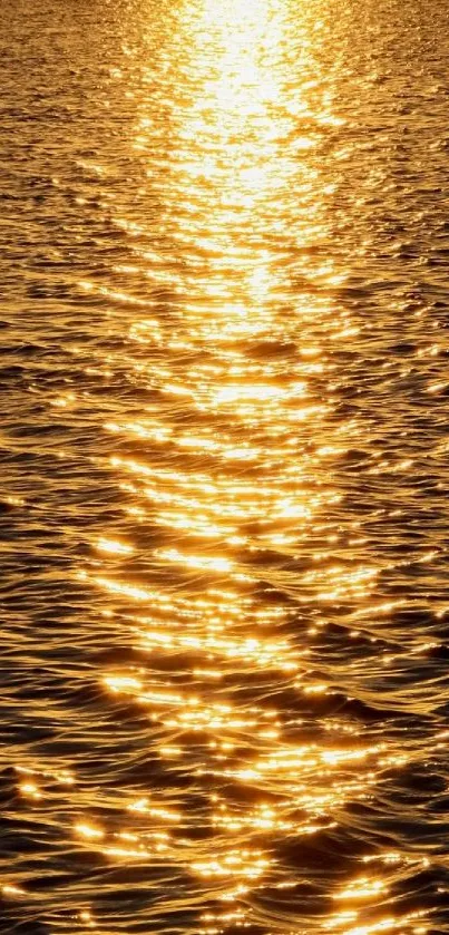 Golden sunset reflection on ocean waves, illuminating with warm, glowing tones.