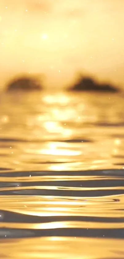 Golden sunset reflecting over calm ocean water.