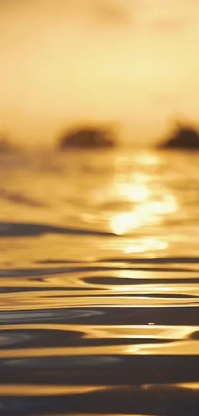 Golden sunset reflecting over calm water.