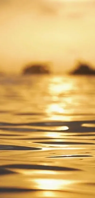 Golden sunset reflecting on calm water surface, creating a tranquil ambiance.