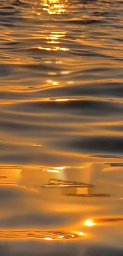 Golden sunset reflecting on water with shimmering waves.