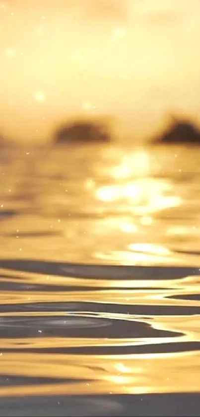 Golden sunset reflecting on serene water surface.