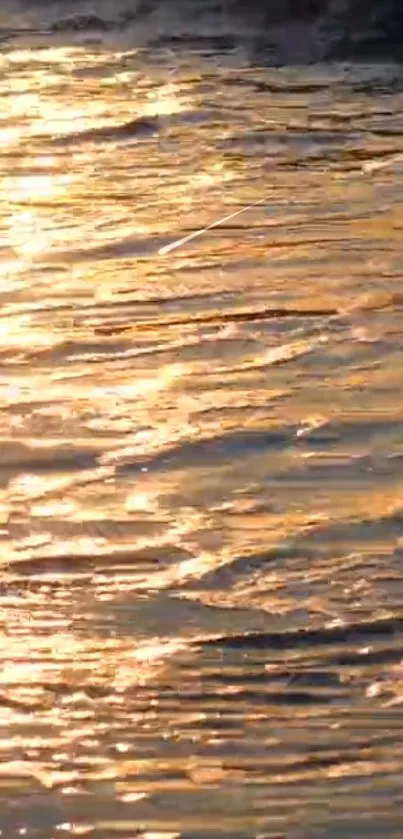 Golden sunset reflecting on calm water surface, perfect for wallpapers.