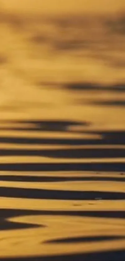 Golden sunset reflecting on rippling water surface.