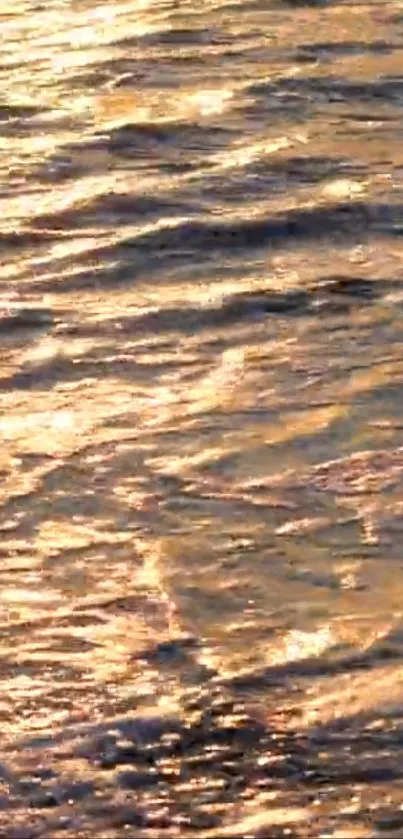 Golden sunset reflecting on rippling water surface.