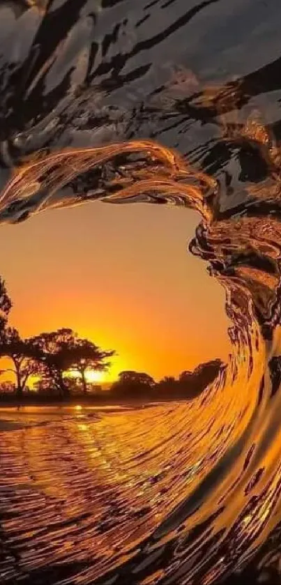 Golden sunset wave crashing with reflection of trees.