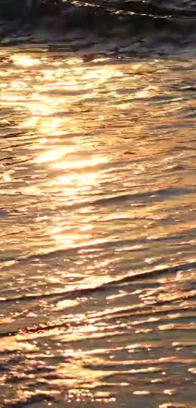 Golden sunset reflecting on rippling ocean waves creating a serene view.