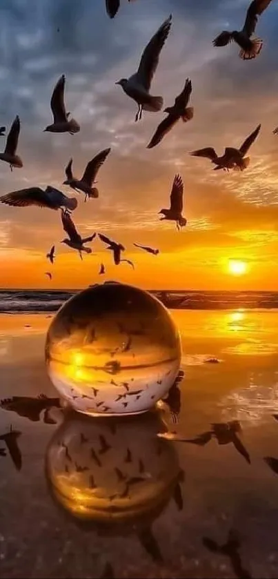 Mobile wallpaper of a golden sunset with birds and ocean reflection.