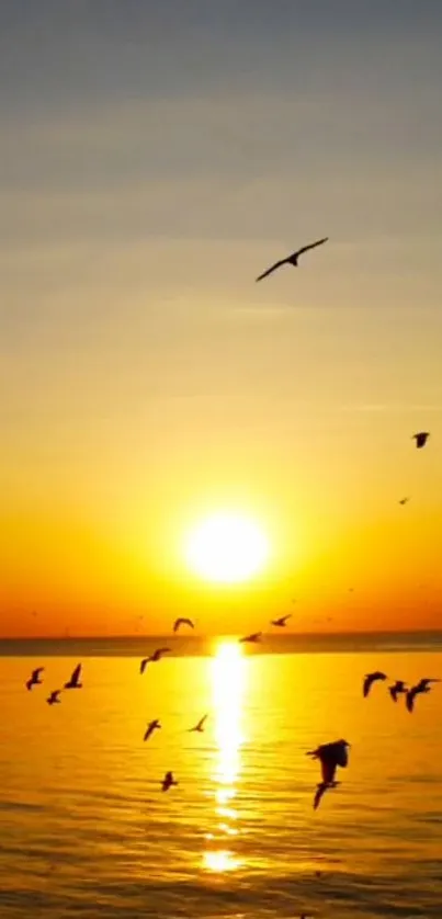 Golden sunset over ocean with birds flying peacefully.