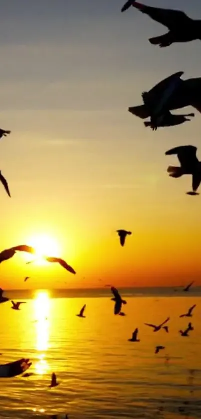 Birds flying over a golden sunset sea.