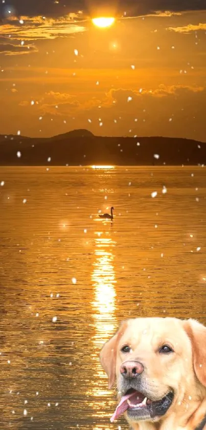 Golden retriever by sunset with snowflakes falling over calm water.