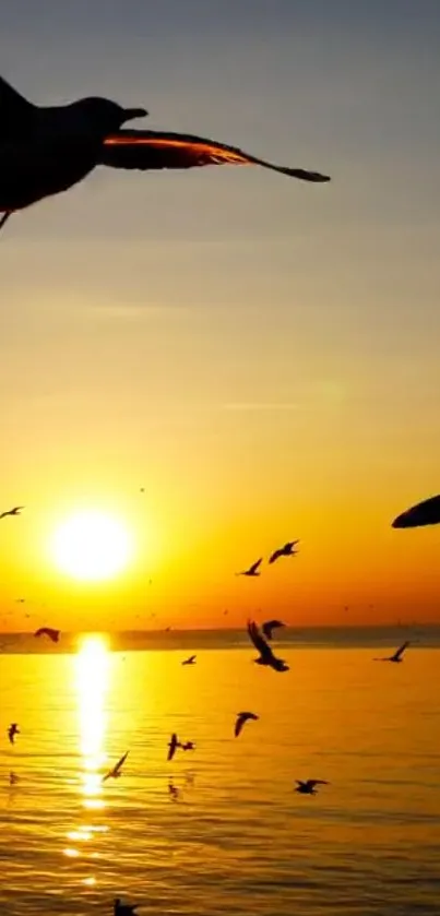 Golden sunset with birds flying over a tranquil sea.