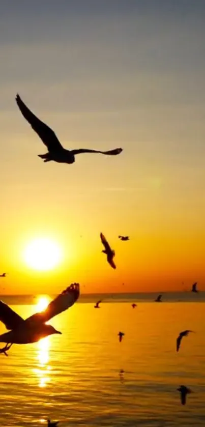 Golden sunset over ocean with silhouetted birds in flight.