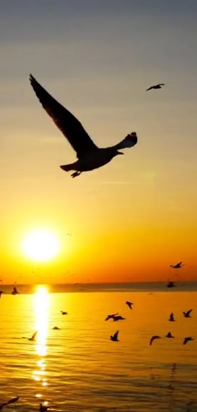 Golden sunset with seagulls flying over the ocean.