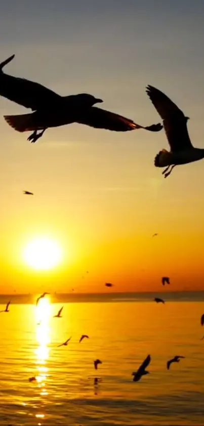 Golden sunset over ocean with flying seagulls.