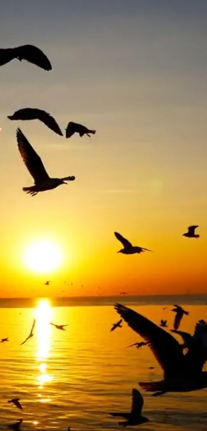 Seagulls flying over the ocean during a golden sunset.