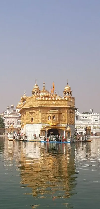 Wallpaper of Golden Temple reflecting on serene waters under clear sky.