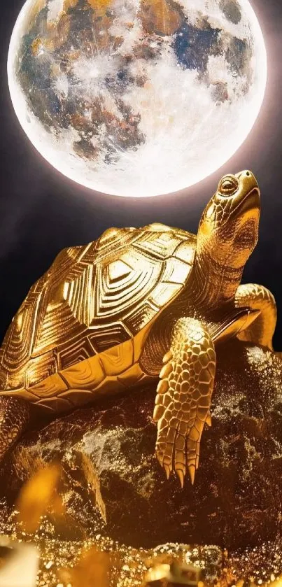 Golden tortoise under moonlight on rock.