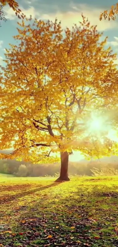 Golden autumn tree with sunlight in scenic landscape.