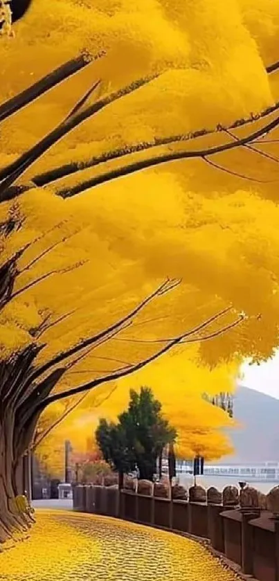 Golden path lined with yellow trees in autumn scenery.