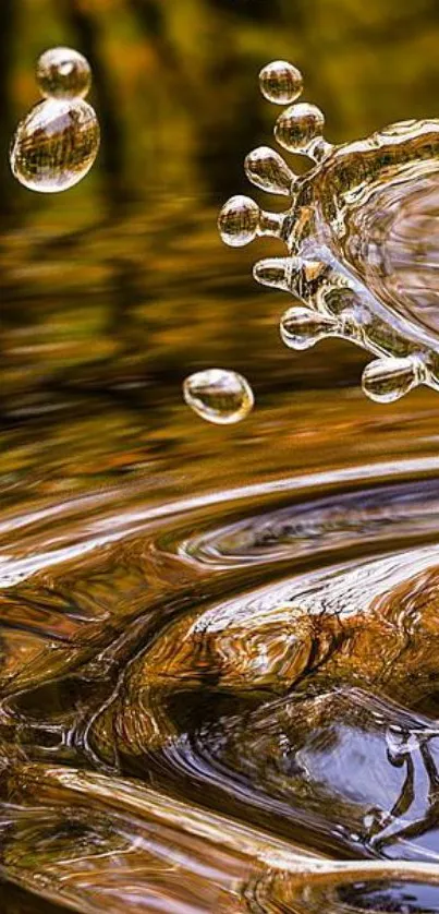 Golden water ripple with dynamic splashes on a tranquil background.