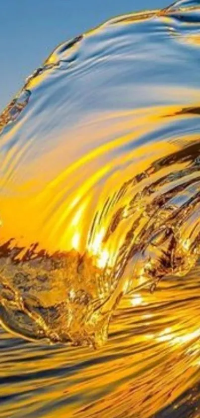 Golden wave captures the sunset's glow.