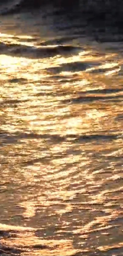 Golden sunlight reflecting on calm ocean waves.