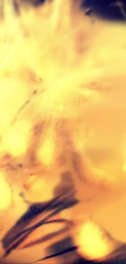 Golden wheat field with a calming glow.