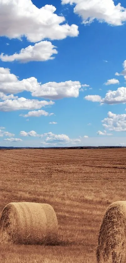 Golden wheat field with blue sky and fluffy clouds.