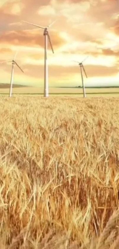 Wind turbines in a golden wheatfield at sunset.