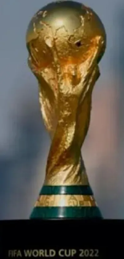 Golden FIFA World Cup trophy on display.