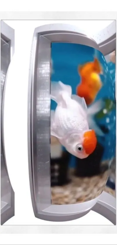 A goldfish swims in futuristic aquarium wallpaper.