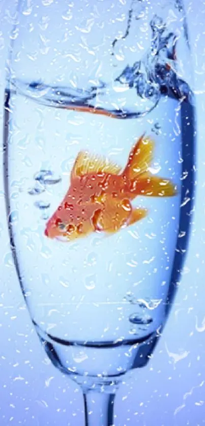 Goldfish swimming in a clear glass with water splash.