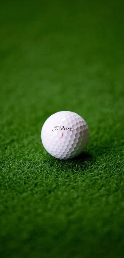 A golf ball resting on vibrant green grass, perfect for mobile wallpaper.